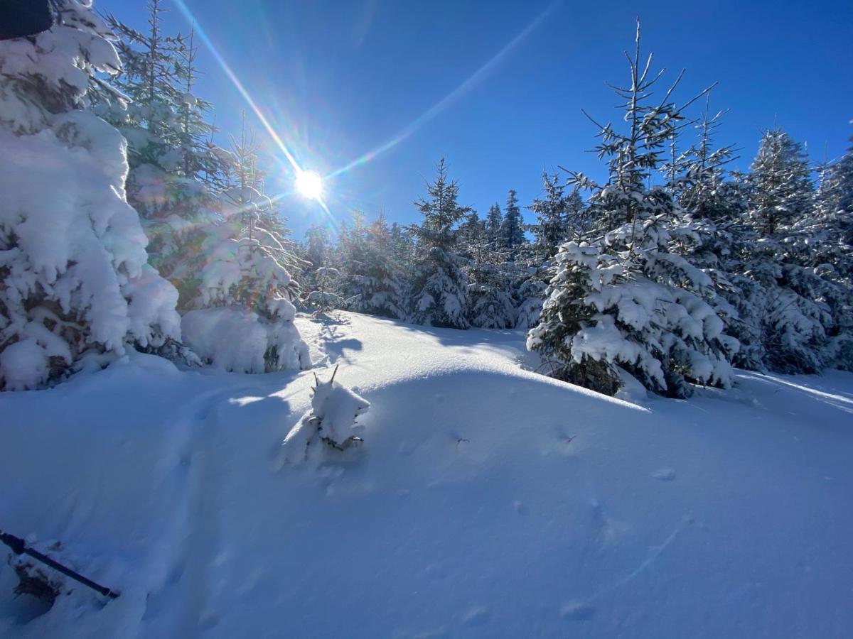 Ferienwohnungen Voß Winterberg Exterior foto
